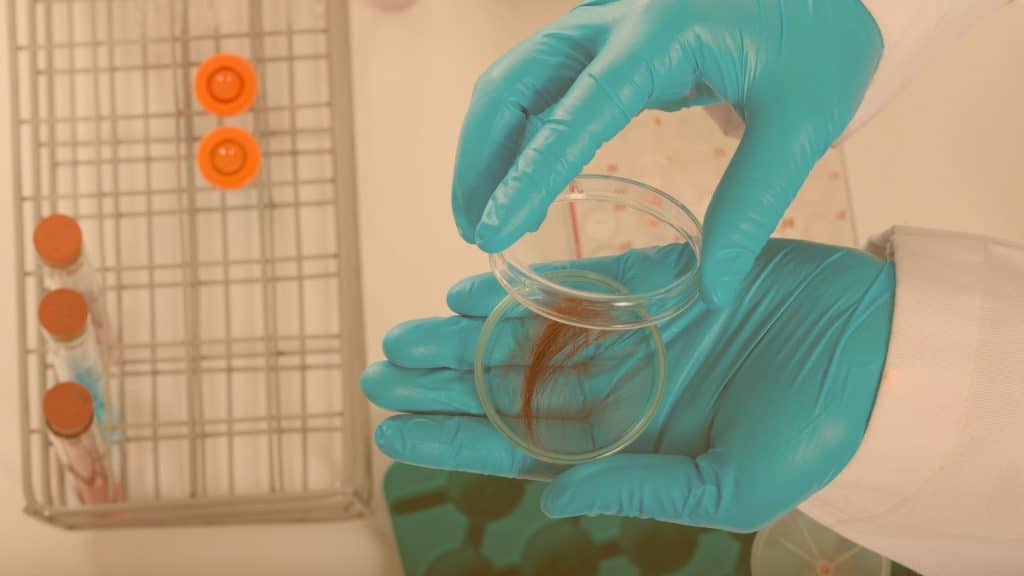 Análise do Exame Toxicológico para primeira habilitação