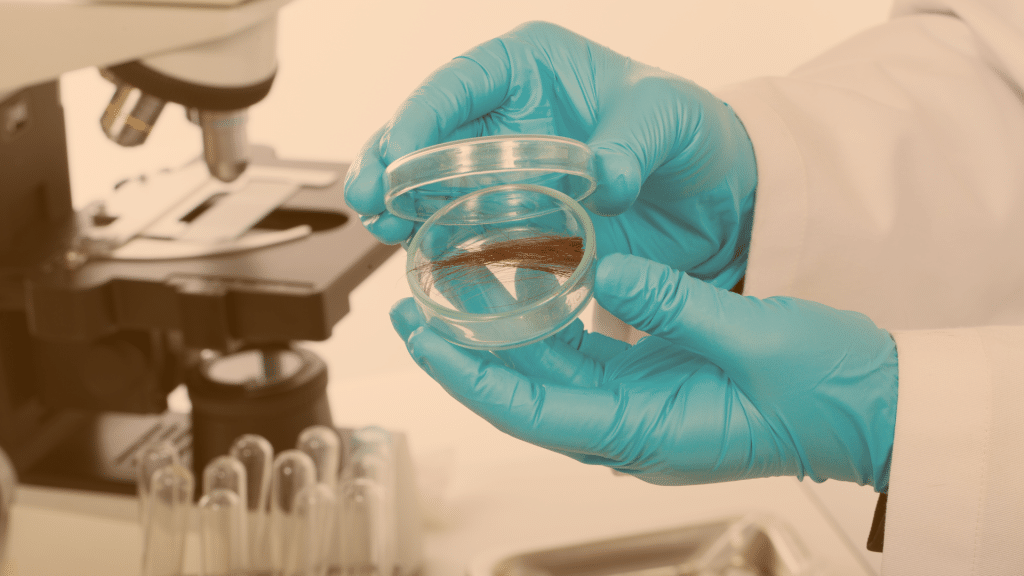 10 anos da política pública do exame toxicológico labest